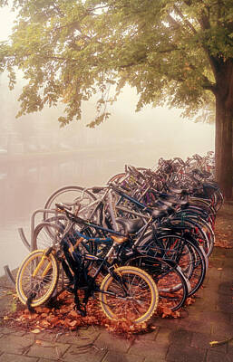 Transportation Photos - Bikes on a Foggy Morning by Joan Carroll