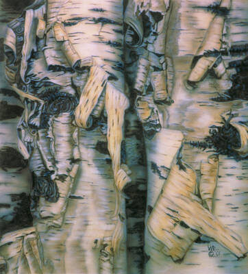 Modern Sophistication Beaches And Waves - Birch Bark by Wayne Pruse