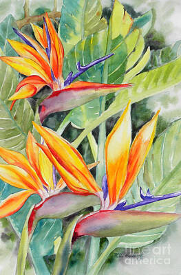 Animals Paintings - Bird of Paradise Flowers by Hilda Vandergriff