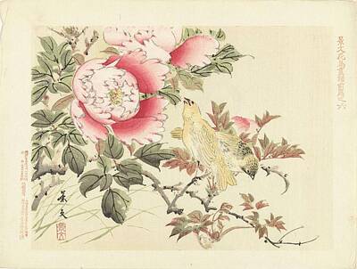 Animals Paintings - Birds and peonies, Matsumura Keibun, 1892 by Celestial Images