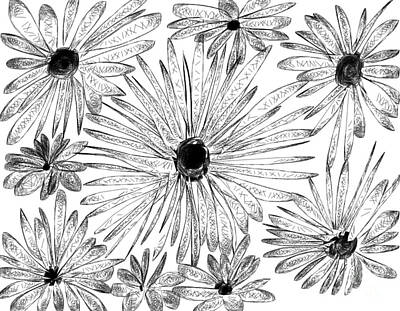 Priska Wettstein All About Flowers Rights Managed Images - Black and White flowers Royalty-Free Image by Glenda Thomas