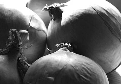 Grateful Dead Royalty Free Images - Black and White Onions Royalty-Free Image by HelenaP Art