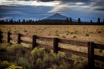 Mammals Royalty-Free and Rights-Managed Images - Black Butte Lenticular by Cat Connor