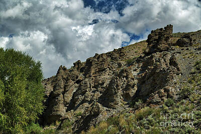 Neutrality - Black Canyon of the Gunnison  8b7351 by Stephen Parker