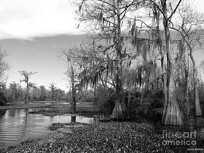 Black And White Beach Royalty Free Images - Black N White Bayou Royalty-Free Image by Gina Welch