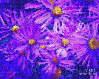 Charles-muhle Paintings - Blue Asters - watercolor by Charles Muhle