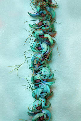 Recently Sold - Athletes Photos - Blue Jade Lei with Hinahina by Jade Moon