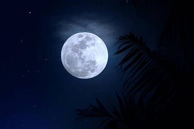 Travel Pics Rights Managed Images - Blue Moon Supermoon Royalty-Free Image by Mark Andrew Thomas