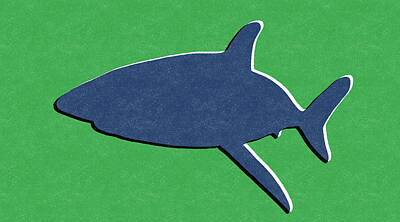 Royalty-Free and Rights-Managed Images - Blue Shark by Linda Woods