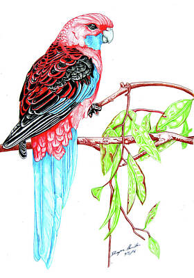 Birds Mixed Media - Blue Tail Parrot - Green Day by Dwayne Hamilton