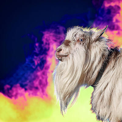 Arf Works - Blue The Goat In Fog by TC Morgan