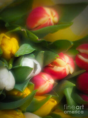 Floral Royalty Free Images - Blurred flowers Royalty-Free Image by Shaun Wilkinson