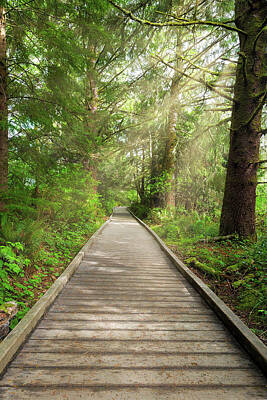 Tea Time - Boardwalk along Hiking Trail at Fort Clatsop by David Gn