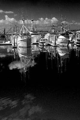Randall Nyhof Royalty-Free and Rights-Managed Images - Boat Fleet in San Diego Harbor by Randall Nyhof