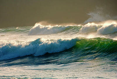 Af Vogue - Boiler Bay Waves Rolling by Michael Dawson