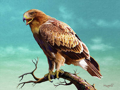 Reptiles Paintings - Booted Eagle  by Anthony Mwangi