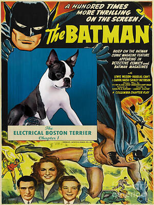 Modern Man Mid Century Modern - Boston Terrier Art Canvas Print -  Batman Movie Poster by Sandra Sij