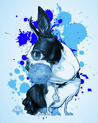 Cities Drawings - Boston Terrier - Blue Paint Splatter by John LaFree