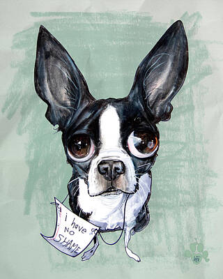 Portraits Drawings - Boston Terrier - I Have No Shame by John LaFree