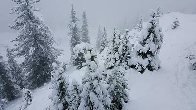 Music Tees - Bow Summit Winter Landscape 02 by William Slider