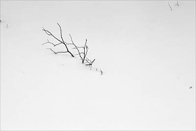 Needle And Thread - Branches in the Snow by Robert Ullmann