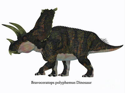 Aloha For Days - Bravoceratops Dinosaur Side Profile by Corey Ford