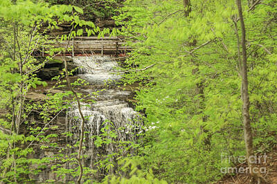 Nikki Vig Royalty-Free and Rights-Managed Images - Bridge Over Little Clifty Falls by Nikki Vig
