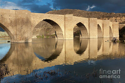 Watercolor Dragonflies - Bridge over the river Ebro by Francisco Javier Gil Oreja