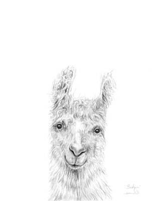 Mammals Drawings - Bridger by Kristin Llamas