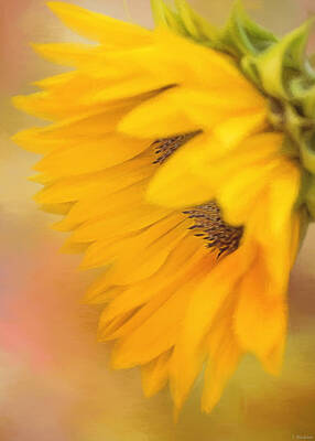 Sunflowers Paintings - Bring Sunshine - Sunflower Art by Jordan Blackstone