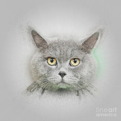Woodland Animals - British Shorthair cat by Humourous Quotes