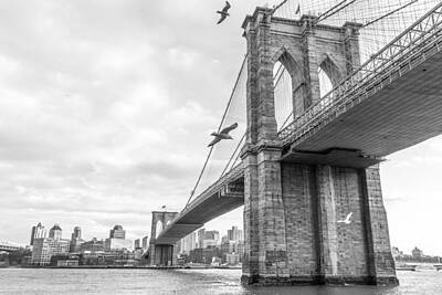 Colorful Button - Brooklyn Bridge and Seagulls by SR Green