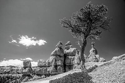Childrens Room Animal Art - Bryce Canyon in Black and White       by Bob Cuthbert