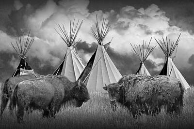 Randall Nyhof Royalty Free Images - Buffalo Herd among Teepees of the Blackfoot Tribe Royalty-Free Image by Randall Nyhof