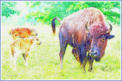 Circuits Royalty Free Images - Buffalo Mother and Calves Royalty-Free Image by A Macarthur Gurmankin