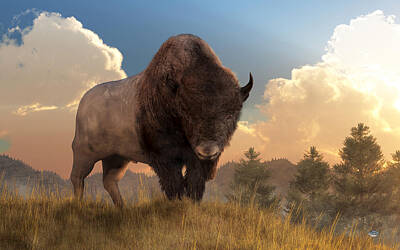 Mammals Digital Art - Buffalo Sunset by Daniel Eskridge