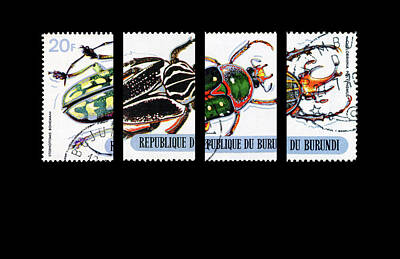 Outerspace Patenets - Burundi Post Insects #2 by Juan Carlos Lopez