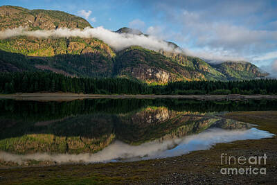 Namaste With Pixels - Buttle Lake, Strathcona Provincial Park, Campbell River, British by Carrie Cole