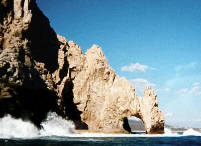 Santas Reindeers - Cabo San Lucas Arch by Will Borden