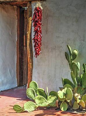 Jerry Sodorff Royalty-Free and Rights-Managed Images - Cactus Chile by Jerry Sodorff