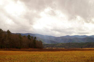 Only Orange Rights Managed Images - Cades Cove Royalty-Free Image by Beth Collins