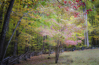 Door Locks And Handles Royalty Free Images - Cades Cove Fall Royalty-Free Image by Debbie Karnes