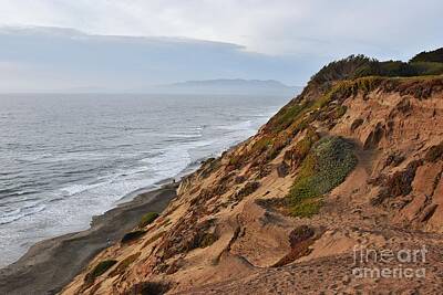 On Trend Breakfast Royalty Free Images - California Coastal Landscape Royalty-Free Image by Scott Cameron