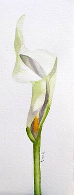 Florals Paintings - Calla by Nicole Curreri