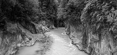 Wild Horse Paintings - Callery Gorge New Zealand BW by Joan Carroll