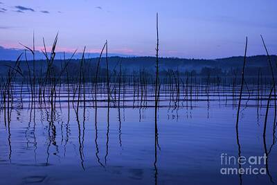 Mikko Palonkorpi Royalty-Free and Rights-Managed Images - Calm evening by a moist lake in Finland by Mikko Palonkorpi