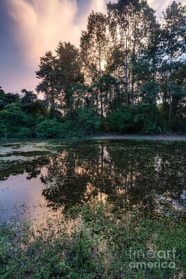 Fine Dining - Cambodian Backwater Cloudscape by Mike Reid