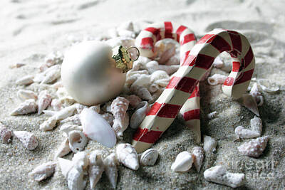 Priska Wettstein Land Shapes Series - Candy Canes and Sea Shells by Mary Haber