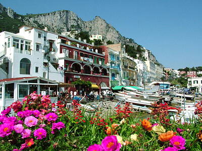 Donna Corless Royalty-Free and Rights-Managed Images - Capri by Donna Corless