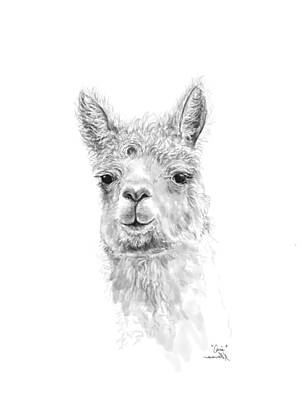 Recently Sold - Mammals Drawings - Cari by Kristin Llamas